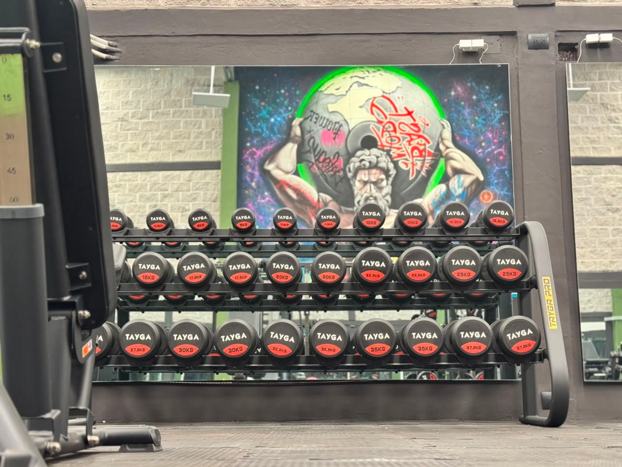 Rack de mancuernas Gasper Gym